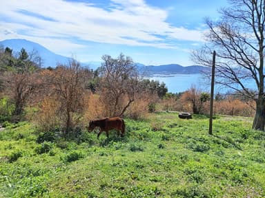 Продается дом в Шушане, Бар с панорамным видом на море за 168,000 EUR