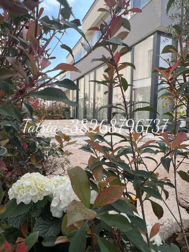 Просторный дом в закрытом поселке Ластва за 0 EUR, 167 м² с террасой и студией